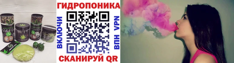 darknet формула  Великий Устюг  Cannafood конопля 