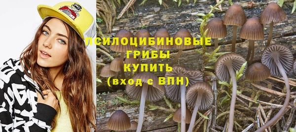 ECSTASY Балахна