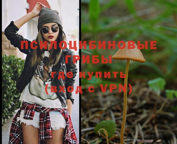 не бодяженный Пересвет